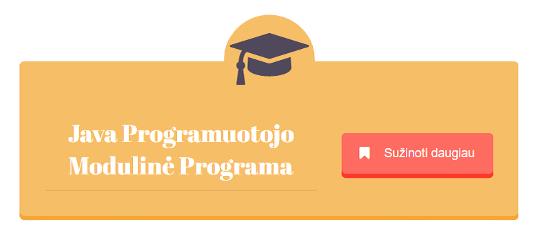 java programuotojo moduline programa